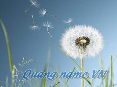 Bồ Công Anh Nở Muộn – Chương 7