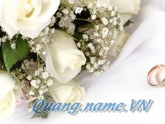 Chim trong lồng son không hót