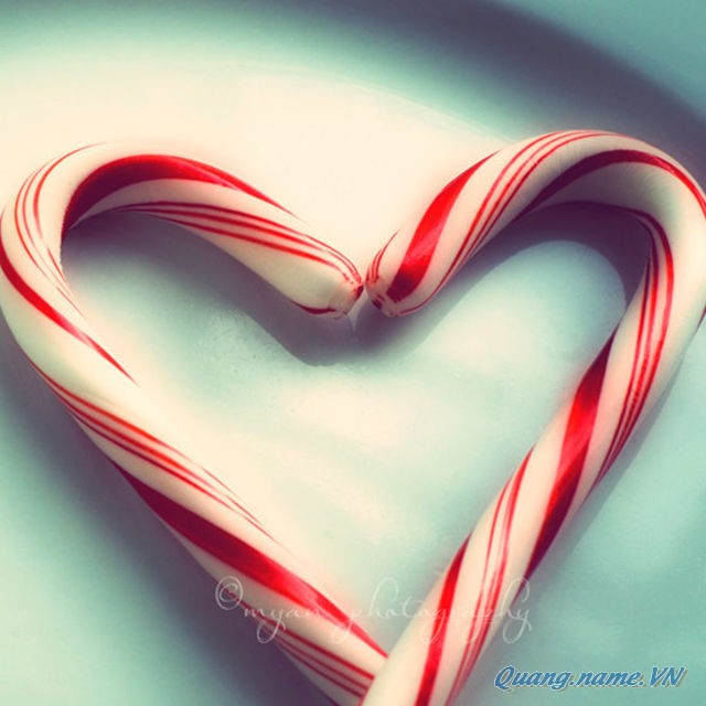 Blog Radio 212: Đoạn cuối cuốn nhật ký