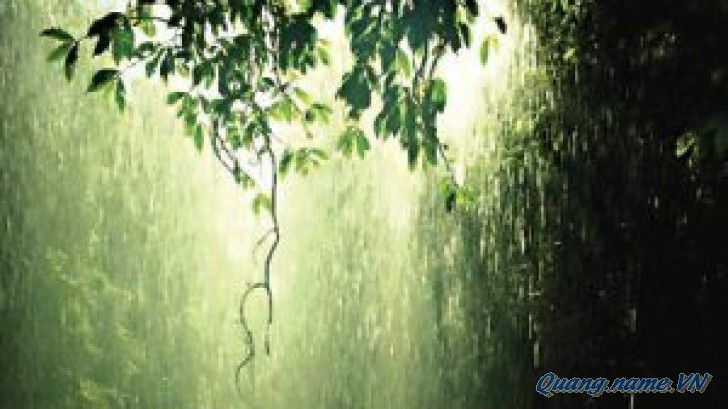 Blog Radio 219: Mưa tháng giêng