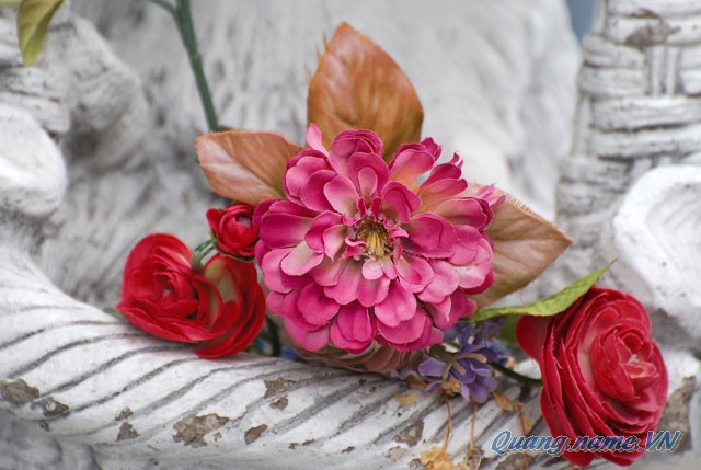 Blog Radio 233: Điều quý giá nhất