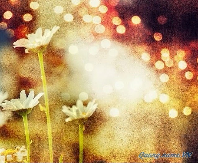 Blog Radio 259: Ngược dòng