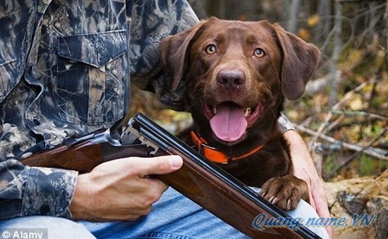 Chuyến đi săn cuối cùng