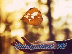 Đặc quyền của mùa thu cho những tâm hồn mong mỏi sống