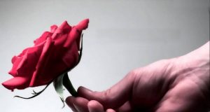 Gặp được người năm tháng hóa an yên (Phần 2)