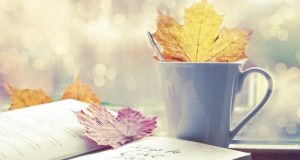 Vì trái tim anh không dành cho em nữa