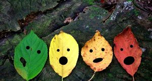 Bỗng một ngày ta muốn yêu trở lại