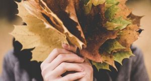 Heo may về trên phố còn vương