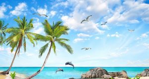 Biển – Trương Anh Quốc