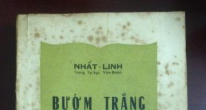 Bướm Trắng