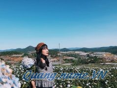 Chỉ trách duyên mình quá muộn