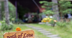 Khi những kẻ cô đơn chạm vào nhau