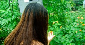 Cú Ngã Định Mệnh