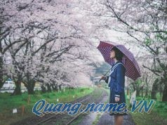 Đi cùng em một đoạn thanh xuân