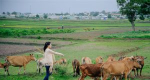 Đi đâu để thấy bình yên?