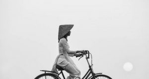 Gió Thổi Dọc Cánh Đồng