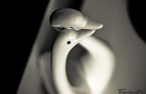 Hạnh phúc chỉ đơn giản là thế