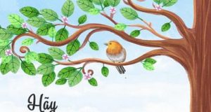 Hãy Yêu Một Ai Đó