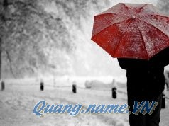 Hẹn một mai trái tim cùng nhau bước qua giông bão