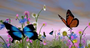 Thiên Thần Đã Bay Lên