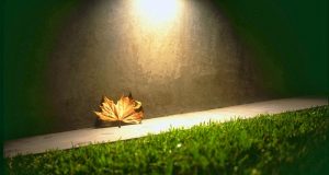 Những mảnh đời lặng lẽ