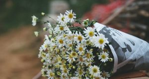 Nợ em một thanh xuân