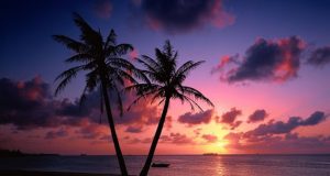 Nơi Mặt Trời Đến