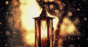 Nỗi nhớ mùa đông…