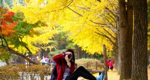 Rừng Trong Thành Phố