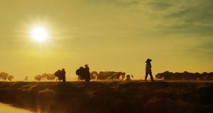 Tiếng Đàn & Vỏ Ốc – Phan Đình Minh