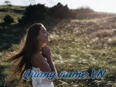 Tình yêu tìm lại