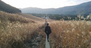 Tôi đã được gặp một thiên sứ nhỏ trong đời