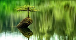 Út Đẹt – Hồ Kiên Giang