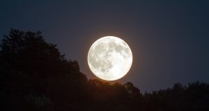 Vầng Trăng Yêu Thương