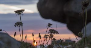 Đôi bờ sông Ngàn