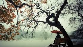 Mùa đông này ta chẳng còn nhau