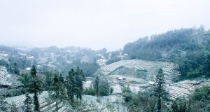 Người Đàn Bà Ngồi Nhìn Tuyết Rơi