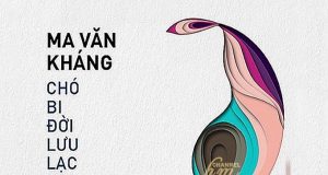 Chó Bi, Đời Lưu Lạc