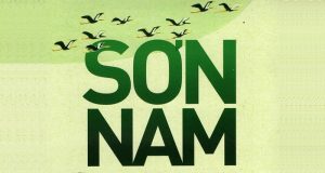 Chim Quyên Xuống Đất