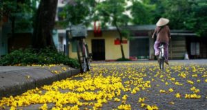 Những Ngày Cuối Năm