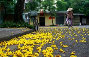 Những Ngày Cuối Năm