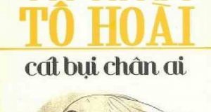 Cát Bụi Chân Ai