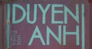 Ngựa Chứng Trong Sân Trường