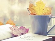 Vì anh xuất hiện, thanh xuân của em mới trở nên hoàn mỹ