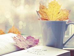 Vì anh xuất hiện, thanh xuân của em mới trở nên hoàn mỹ