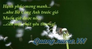 Hạnh Phúc Mong Manh