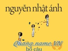 Bồ Câu Không Đưa Thư